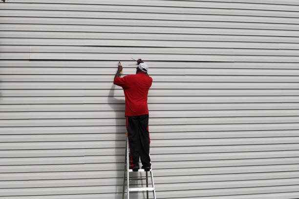 Best Siding Maintenance  in Petaluma, CA