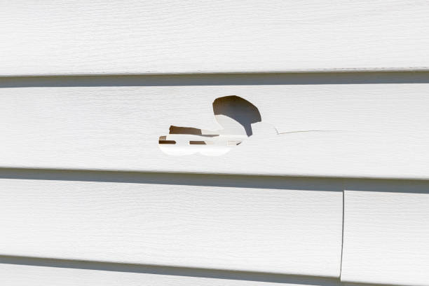 Siding Removal and Disposal in Petaluma, CA