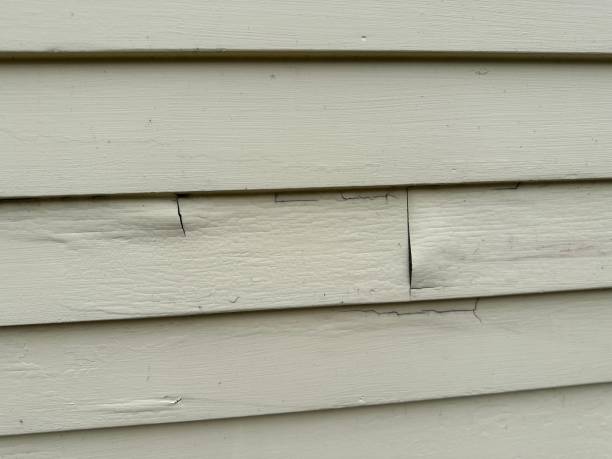 Professional Siding Installation & Repair in Petaluma, CA